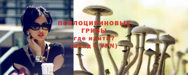 дживик Алексеевка